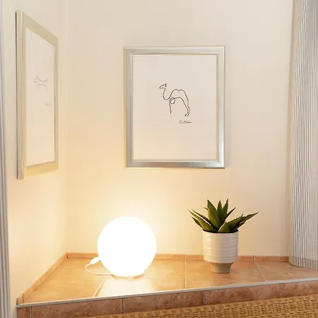 Daire Lenster Moewennest *