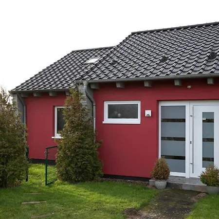 Daire Lenster Moewennest *